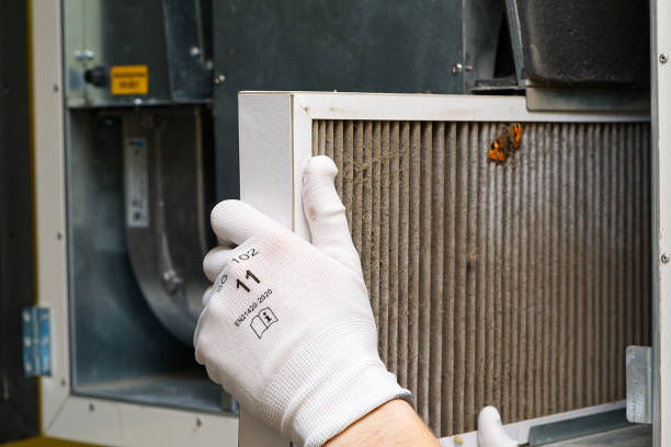 Best Professional Duct Cleaning Services  in Valdosta, GA