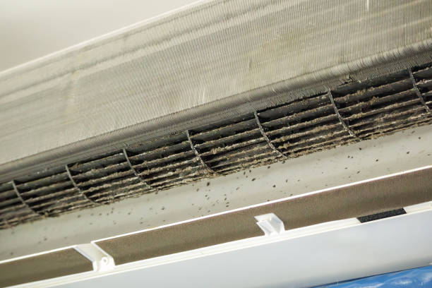 Best Air Duct Cleaning Near Me  in Valdosta, GA